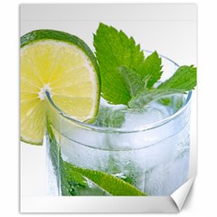 Cold Drink Lime Drink Cocktail Canvas 20  X 24   by Amaryn4rt