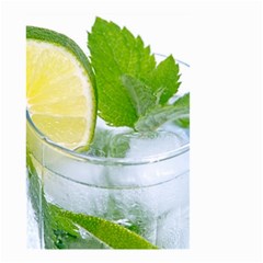 Cold Drink Lime Drink Cocktail Small Garden Flag (two Sides) by Amaryn4rt