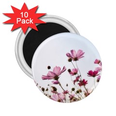 Flowers Plants Korea Nature 2 25  Magnets (10 Pack)  by Amaryn4rt