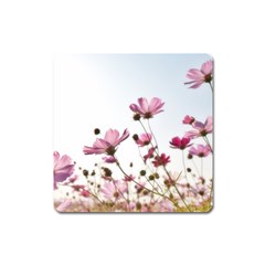 Flowers Plants Korea Nature Square Magnet by Amaryn4rt