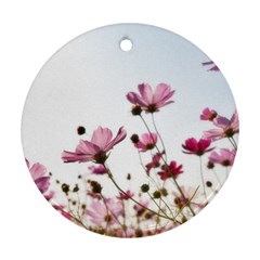 Flowers Plants Korea Nature Round Ornament (two Sides)  by Amaryn4rt