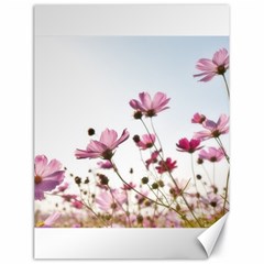 Flowers Plants Korea Nature Canvas 18  X 24   by Amaryn4rt