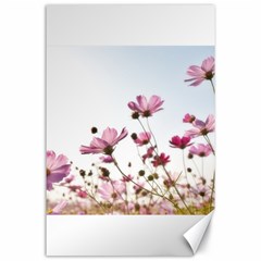 Flowers Plants Korea Nature Canvas 24  X 36  by Amaryn4rt