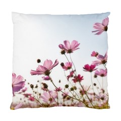 Flowers Plants Korea Nature Standard Cushion Case (one Side) by Amaryn4rt