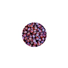 Hazelnuts Nuts Market Brown Nut 1  Mini Buttons by Amaryn4rt