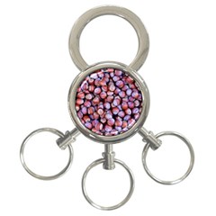 Hazelnuts Nuts Market Brown Nut 3-ring Key Chains by Amaryn4rt