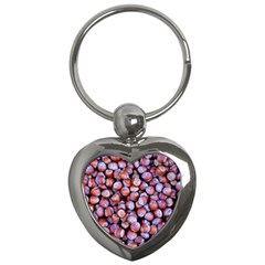 Hazelnuts Nuts Market Brown Nut Key Chains (heart)  by Amaryn4rt