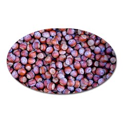 Hazelnuts Nuts Market Brown Nut Oval Magnet