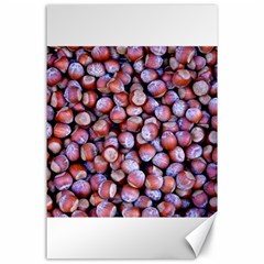 Hazelnuts Nuts Market Brown Nut Canvas 24  X 36  by Amaryn4rt