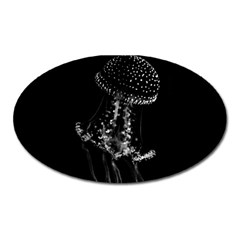 Jellyfish Underwater Sea Nature Oval Magnet by Amaryn4rt