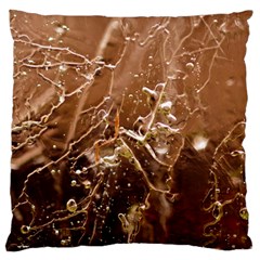 Ice Iced Structure Frozen Frost Standard Flano Cushion Case (one Side) by Amaryn4rt