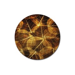 Leaves Autumn Texture Brown Magnet 3  (round) by Amaryn4rt