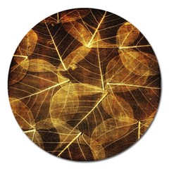 Leaves Autumn Texture Brown Magnet 5  (round) by Amaryn4rt