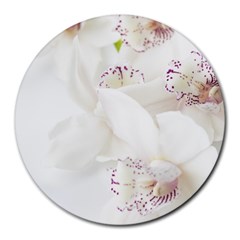 Orchids Flowers White Background Round Mousepads by Amaryn4rt