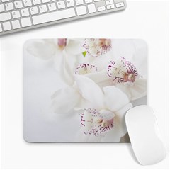 Orchids Flowers White Background Large Mousepads by Amaryn4rt