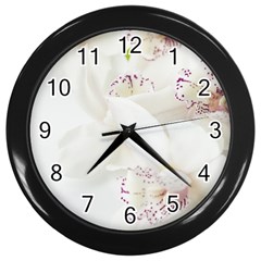 Orchids Flowers White Background Wall Clocks (black) by Amaryn4rt