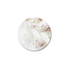 Orchids Flowers White Background Golf Ball Marker (10 Pack) by Amaryn4rt