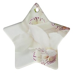 Orchids Flowers White Background Star Ornament (two Sides) 