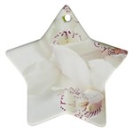 Orchids Flowers White Background Star Ornament (Two Sides)  Front