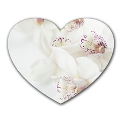 Orchids Flowers White Background Heart Mousepads by Amaryn4rt