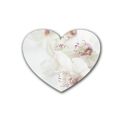 Orchids Flowers White Background Heart Coaster (4 Pack)  by Amaryn4rt