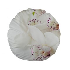 Orchids Flowers White Background Standard 15  Premium Round Cushions by Amaryn4rt