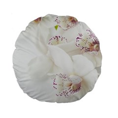 Orchids Flowers White Background Standard 15  Premium Flano Round Cushions by Amaryn4rt