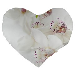 Orchids Flowers White Background Large 19  Premium Flano Heart Shape Cushions by Amaryn4rt