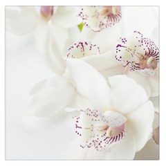 Orchids Flowers White Background Large Satin Scarf (square) by Amaryn4rt