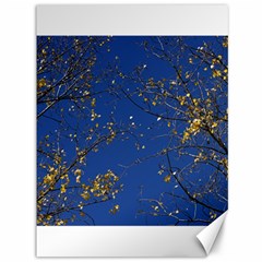 Poplar Foliage Yellow Sky Blue Canvas 36  X 48   by Amaryn4rt