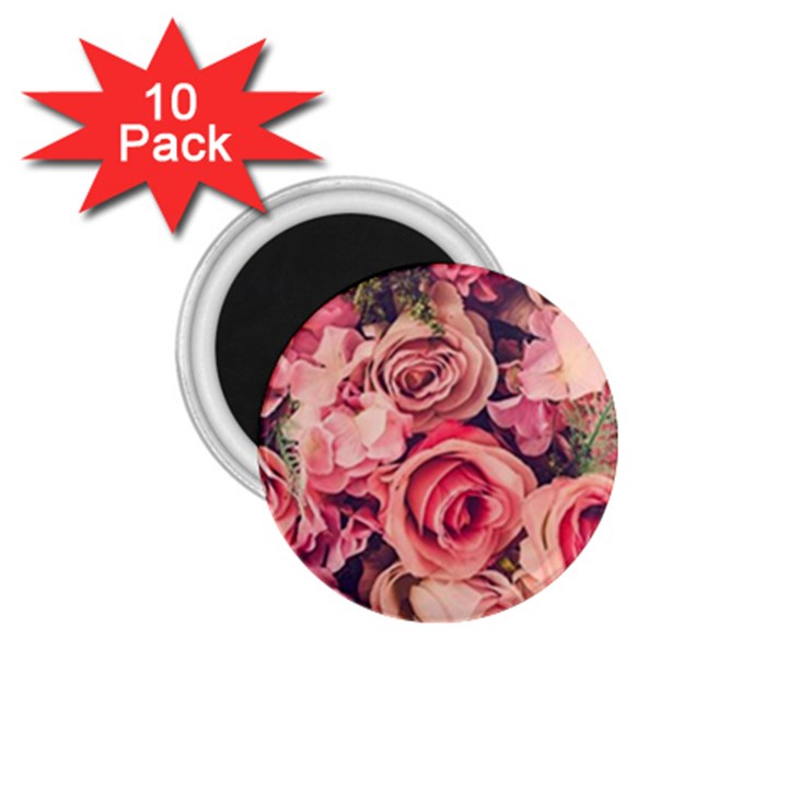 Beautiful pink roses 1.75  Magnets (10 pack) 