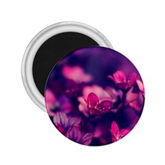 Blurry Flowers 2 25  Magnets by Brittlevirginclothing