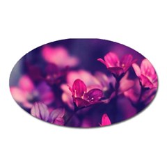 Blurry Flowers Oval Magnet by Brittlevirginclothing