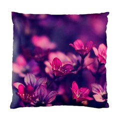 Blurry Flowers Standard Cushion Case (one Side) by Brittlevirginclothing