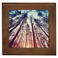 Up View Forest Framed Tiles by Brittlevirginclothing