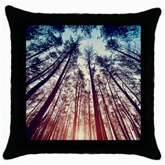 Up View Forest Throw Pillow Case (black) by Brittlevirginclothing