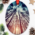 up view forest Oval Ornament (Two Sides) Front