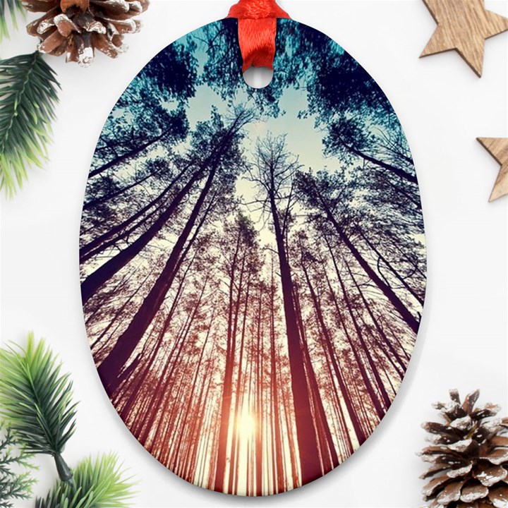 up view forest Oval Ornament (Two Sides)