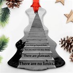 Steps to success follow Ornament (Christmas Tree)  Front