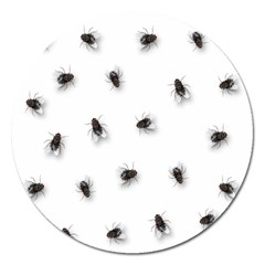 Flies Magnet 5  (round) by Valentinaart