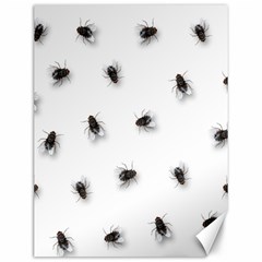 Flies Canvas 12  X 16  