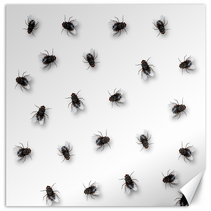 Flies Canvas 20  x 20  