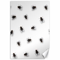 Flies Canvas 20  X 30  