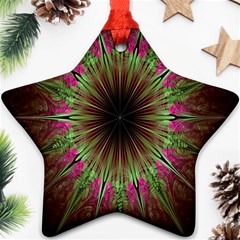 Julian Star Star Fun Green Violet Ornament (star) by Amaryn4rt