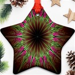 Julian Star Star Fun Green Violet Star Ornament (Two Sides) Front