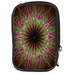 Julian Star Star Fun Green Violet Compact Camera Cases by Amaryn4rt