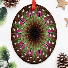 Julian Star Star Fun Green Violet Ornament (oval Filigree) by Amaryn4rt