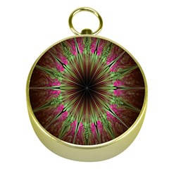 Julian Star Star Fun Green Violet Gold Compasses by Amaryn4rt