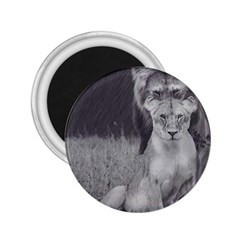 King And Queen Of The Jungle Design  2 25  Magnets