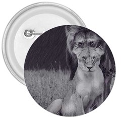 King And Queen Of The Jungle Design  3  Buttons